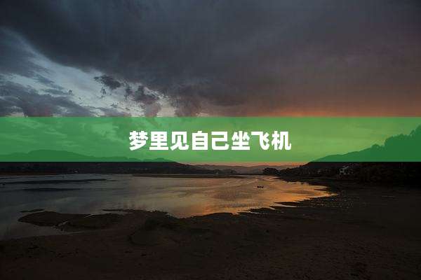 梦里见自己坐飞机