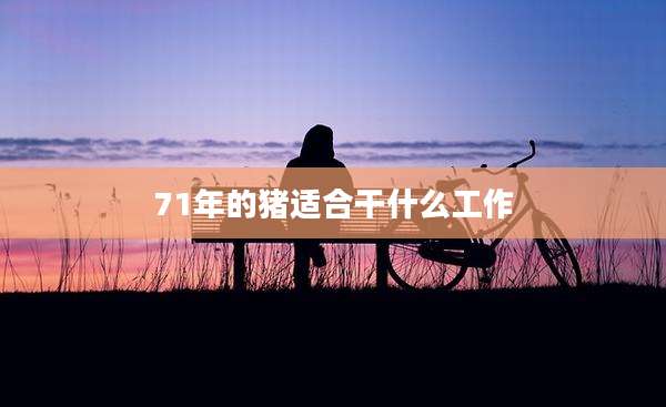 71年的猪适合干什么工作