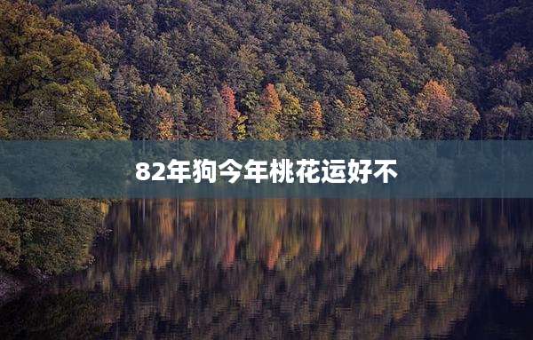 82年狗今年桃花运好不