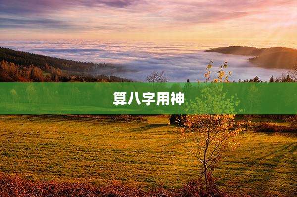 算八字用神
