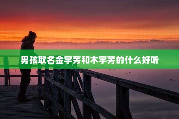 男孩取名金字旁和木字旁的什么好听