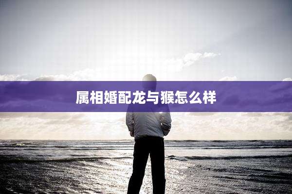 属相婚配龙与猴怎么样