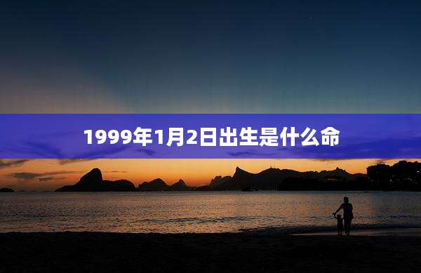1999年1月2日出生是什么命