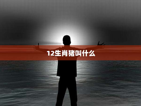 12生肖猪叫什么