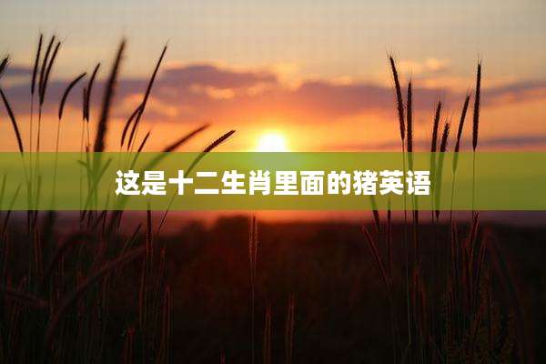 这是十二生肖里面的猪英语