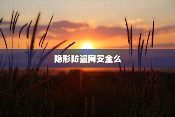 隐形防盗网安全么