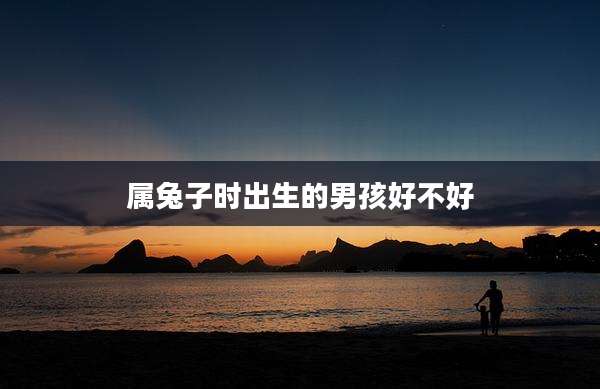 属兔子时出生的男孩好不好