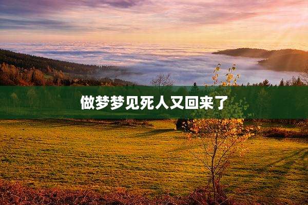 做梦梦见死人又回来了
