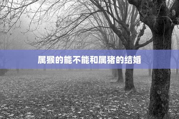 属猴的能不能和属猪的结婚