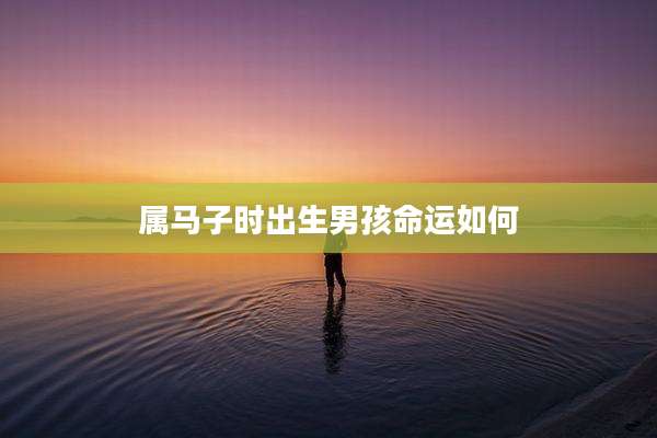 属马子时出生男孩命运如何