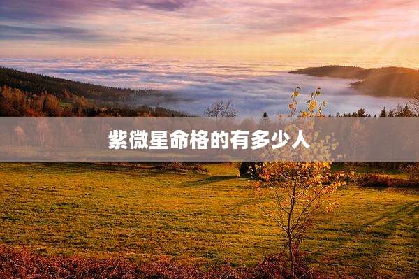 紫微星命格的有多少人