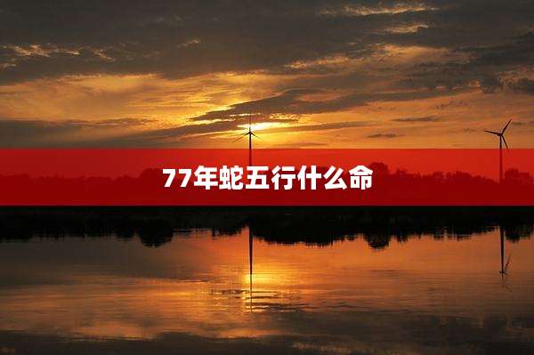 77年蛇五行什么命