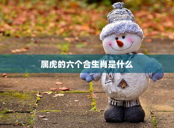 属虎的六个合生肖是什么
