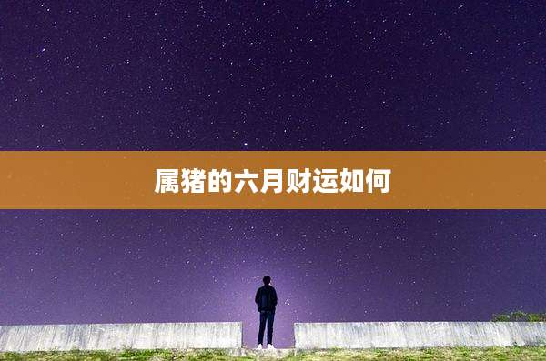 属猪的六月财运如何