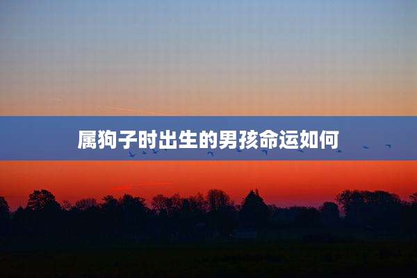 属狗子时出生的男孩命运如何
