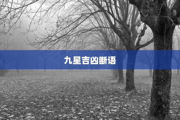 九星吉凶断语