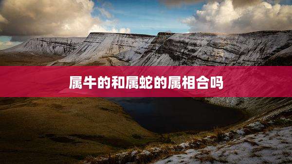 属牛的和属蛇的属相合吗