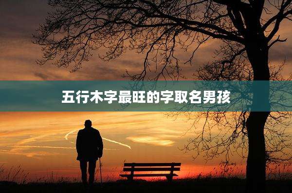 五行木字最旺的字取名男孩