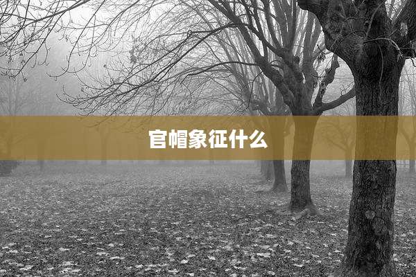 官帽象征什么