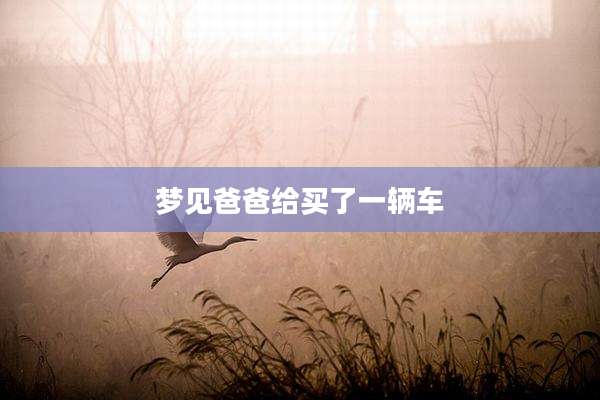 梦见爸爸给买了一辆车