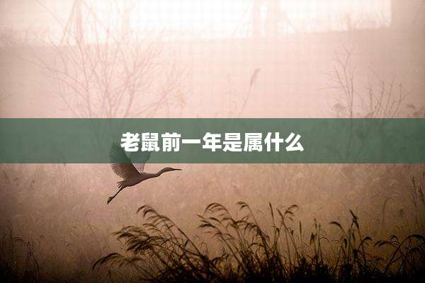 老鼠前一年是属什么