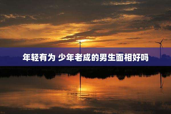 年轻有为 少年老成的男生面相好吗