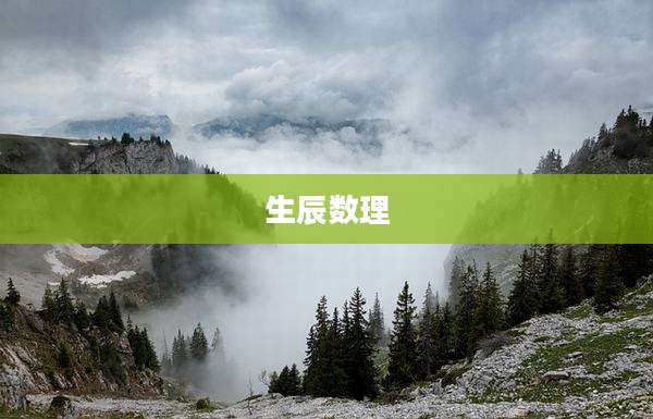 生辰数理