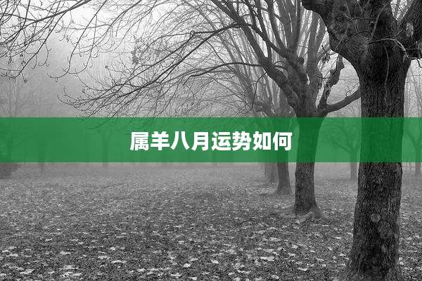 属羊八月运势如何