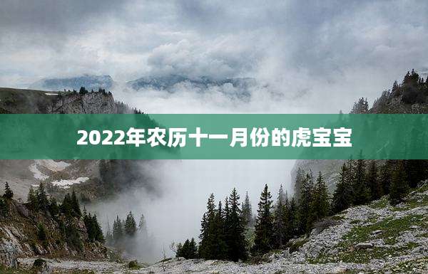 2022年农历十一月份的虎宝宝