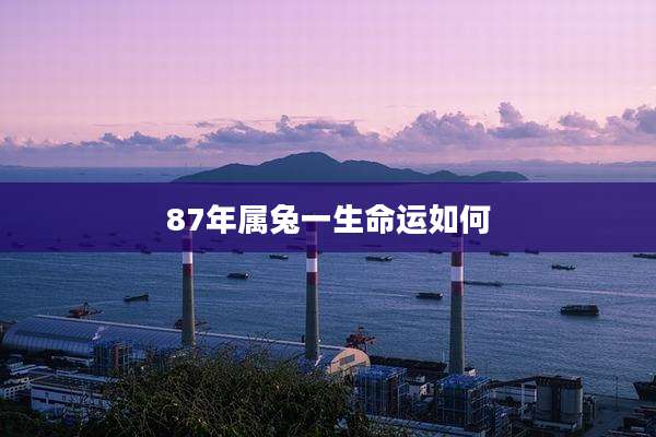 87年属兔一生命运如何