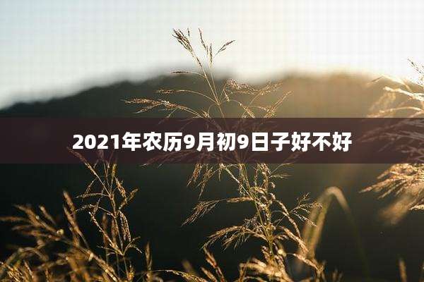 2021年农历9月初9日子好不好
