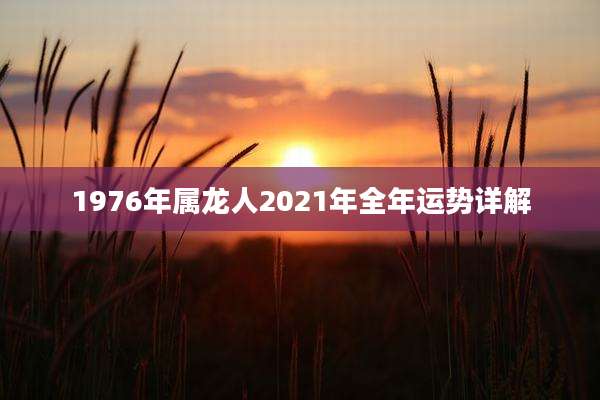 1976年属龙人2021年全年运势详解