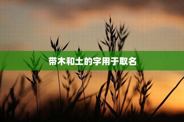 带木和土的字用于取名