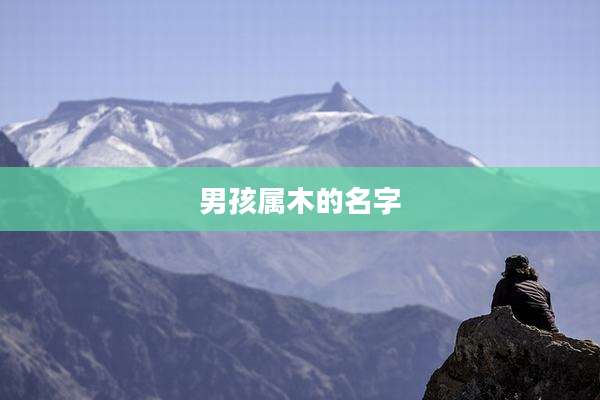 男孩属木的名字