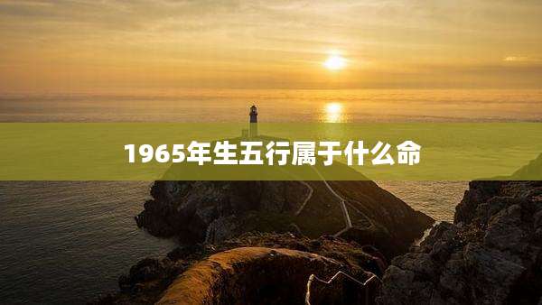 1965年生五行属于什么命