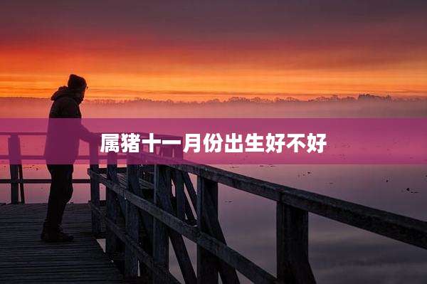 属猪十一月份出生好不好
