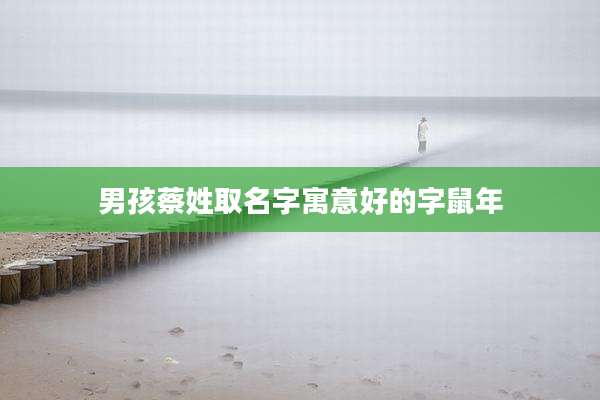 男孩蔡姓取名字寓意好的字鼠年