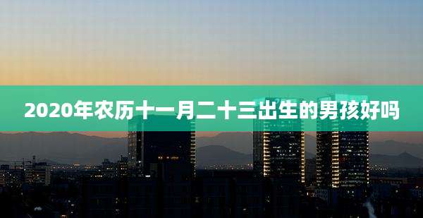 2020年农历十一月二十三出生的男孩好吗