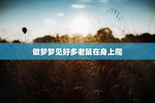 做梦梦见好多老鼠在身上爬