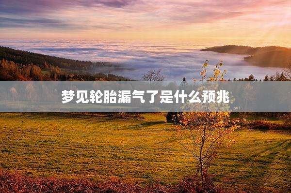 梦见轮胎漏气了是什么预兆
