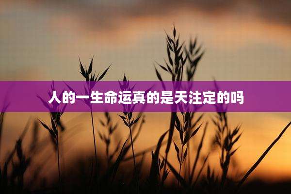 人的一生命运真的是天注定的吗