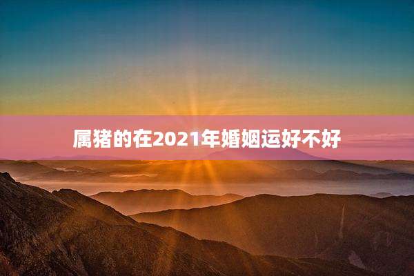 属猪的在2021年婚姻运好不好