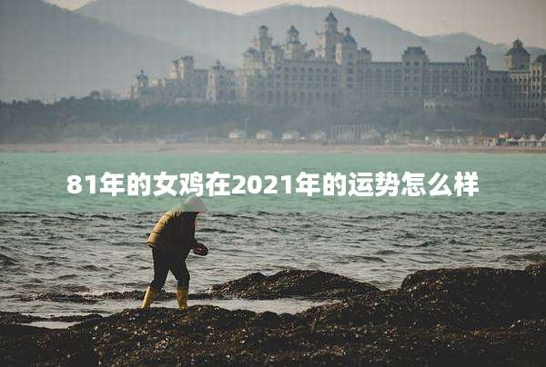 81年的女鸡在2021年的运势怎么样