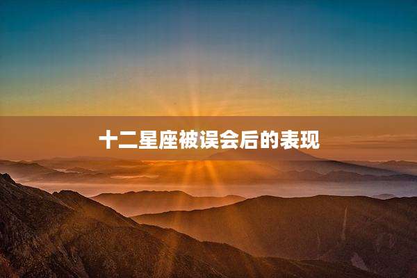 十二星座被误会后的表现