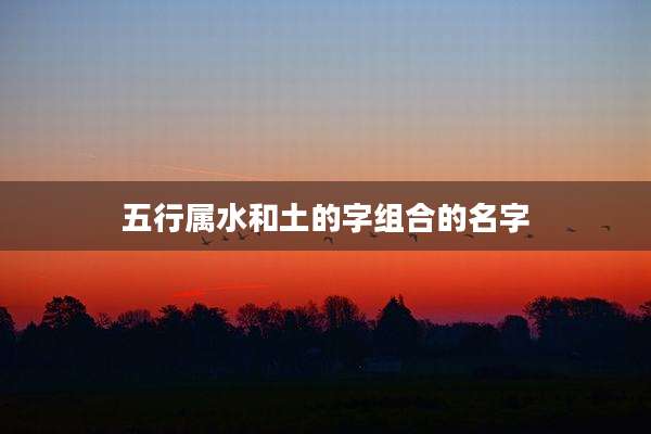 五行属水和土的字组合的名字