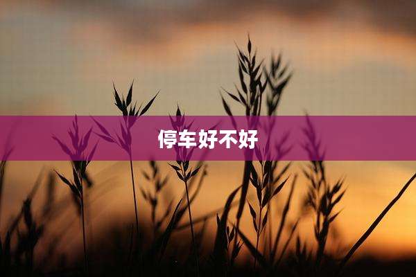 停车好不好