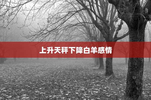 上升天秤下降白羊感情