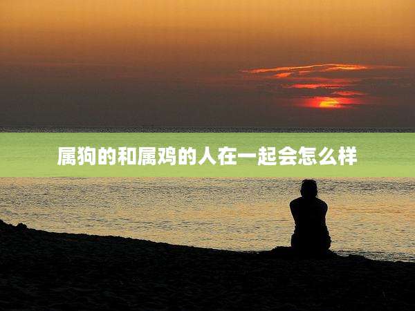 属狗的和属鸡的人在一起会怎么样