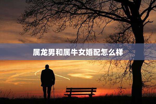属龙男和属牛女婚配怎么样