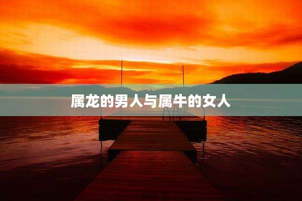 属龙的男人与属牛的女人